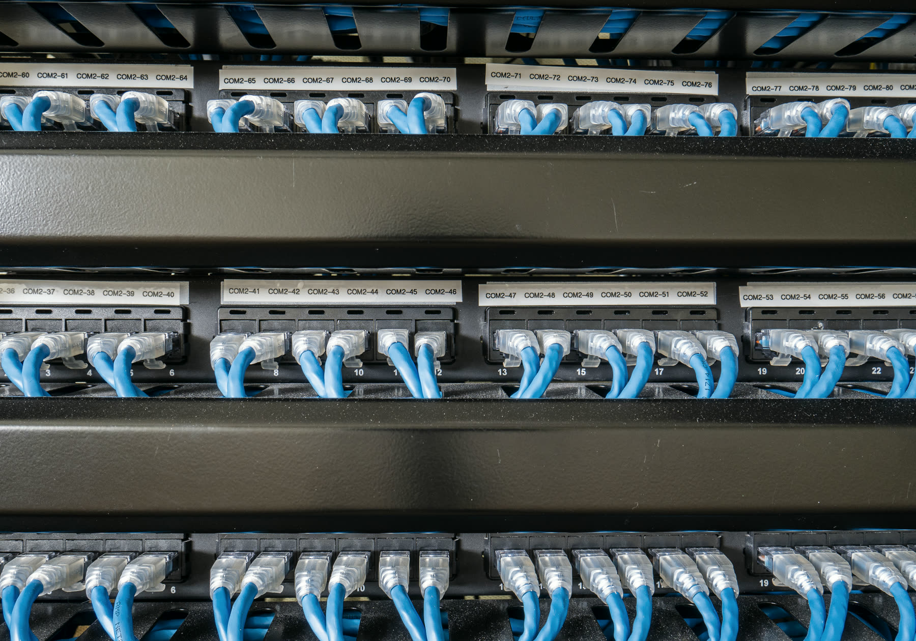 Network cables patched into a panel